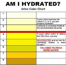 here are 10 ways to stay well hydrated plus a urine color