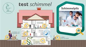 In lebensmitteln, in der kleidung oder in der wohnung. Schimmel Im Haus