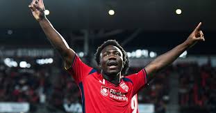 Image result for Nesaea rautanenii