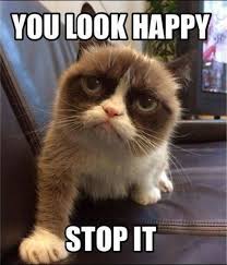 Top 22 Grumpy Cat Memes People | Funny grumpy cat memes, Grumpy ...