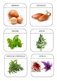 Imagier Du Jardin Les Plantes Aromatiques 2 Aromates Plantes Aromatiques Fruits Et Legumes