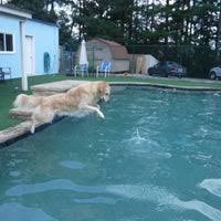 Income at least 3x rent, background and credit checks, reference checks, application to be submitted via avail.co only. Pet Lodge Pet Resort Pet Store
