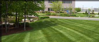 What is the first thing your visitors see as they come to your building. Commercial Lawn Maintenance And Landscaping Tlc Total Lawn Care