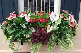 Pin On Outdoor Spaces