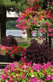 Linlithgow Floral Trails 2023 by Linlithgow