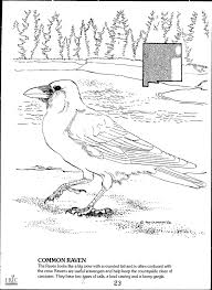 Eric Ed289651 Wildlife Of New Mexico A Coloring Book Eric Free Download Borrow And Streaming Internet Archive Coloring Books Wildlife Coloring Pages
