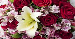 Check spelling or type a new query. Ullenbruch S Flowers Pollock Randall Funeral Home Port Huron Mi
