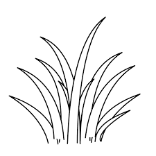 Grass coloring pages for kids and parents, free printable and online coloring of grass pictures. Pictures Of Fence And Grass To Color And Print Printablecolouringpage Shrubs Bushes Colouring Pages Flower Coloring Pages Grass Clipart Coloring Pages