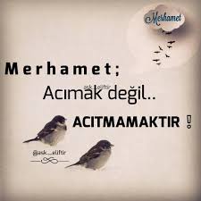 3 647 Begenme 184 Yorum Instagram Da Ask Eliftir Ask Eliftir Ahlakin Temeli Merhamet Tir All Ozlu Sozler Ilahm Veren Alintilar Alintilar