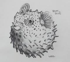 Balon Baligi Kursun Kalem 2b 6b 8b Uclu Kalem Iko Sketch Uclu Kalem Kursun Kalem Cizim