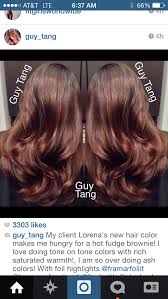 Redwood Warm Tones Hair Color Hair Inspiration Color Long Hair Styles