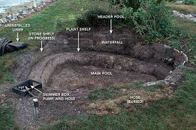 Grab a bucket and mix a quart of water with a teaspoon of dish soap. Planning Your First Water Garden Finegardening