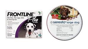 Top 5 Best Flea Tick Prevention Products For Dogs Heavy Com Tick Treatment For Dogs Flea And Tick Fleas