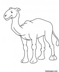 Pin On Camels And Kids