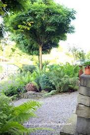 Melancholie Spatswommer Gartengestaltung Kieswege Gartnern Arbeit Natursteinmauern Tiere Hund Katze Sandstein Gartengestaltung Garten Ideen Geranien