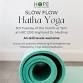 Slow Flow Hatha Yoga event in Medina, OH