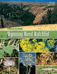 Wyoming weed & pest council. Pdf Orange Hawkweed In Wyoming Weed Watchlist Editors Ba Mealor Tc Collier Sl Miller And S Burnett