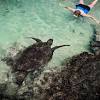 Story image for Best Pet Supplies Fish Supplies Aquarium Pond Tubing For Sale from New York Times