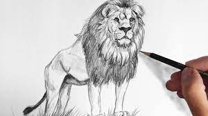 Try to think about the shadows between the tufts, to reveal them by contrast. How To Draw A Lion With Pencil Very Easy And Step By Step Youtube