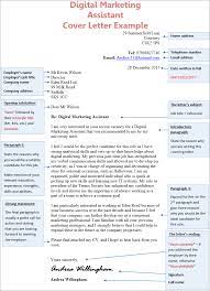 Digital Marketing Assistant Cover Letter Example - Cv Plaza