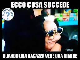 Malgioglio è ormai una vera e propria star del web; Meme Grande Fratello Cecilia Picchia Malgioglio Quando Una Ragazza Vede Una Cimice Youtube