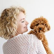 Did you know doodles are healing? A Guide To Poodle Mixes And Doodle Dogs Martha Stewart