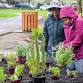 Oakbrook Park Naturespaces planting — Lower Columbia Nature Network