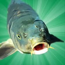 Foldersync pro apk 3.1.7 (paid for free). Stick Game Android Carp Fishing Simulator Android Apk Mega