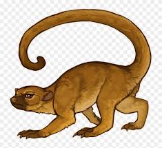 They spend most of their lives in the trees, and their long tails help them keep balance. Grumpy Kinkajou By Puppy Chow Drawing Free Transparent Png Clipart Images Download