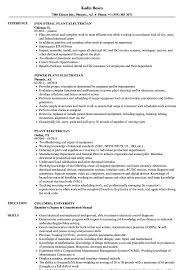 We did not find results for: Plant Electrician Resume Samples Velvet Jobs