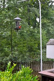 Bird Feeder Pole For Deck Diy Bird Feeder Pole For Under 5 Chatfield Court Bird Feeder Poles Diy Bird Feeder Bird Feeders