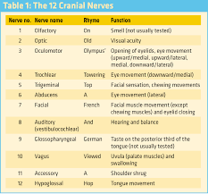 So here's a picture i threw together to help you remember. Neurotrauma Review Series Part 1 Why Evaluate The Cranial Nerves