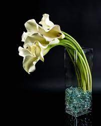 Blanco Calla Tango Nyc Flower Shop Nyc Flowers Calla Lily