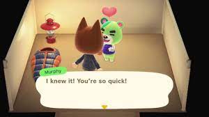 New horizons brings both old and new villagers to the series in massive number our list of all villagers in animal crossing: Murphy Visits My Campsite And Gives Me A Boa Blouson In Animal Crossing New Horizons Youtube