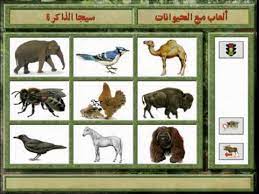 Maybe you would like to learn more about one of these? Animal Fun 2 Ø­ÙŠÙˆØ§Ù†Ø§Øª Ù…Ø±Ø­Ø© 2 Youtube