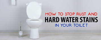 Let it stand for two minutes. How To Stop Rust And Hard Water Stains In Your Toilet