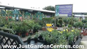webbs of wychbold garden centre you