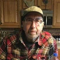 Michael "Mike" J. Waush Obituary