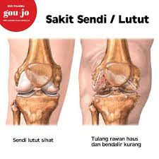 Hidup Sihat Bahgia Membahgiakan