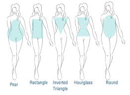 Find Your Body Shape Sizecharter