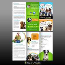 When you call your pup to you, especially in stimulating outdoor environments, you're asking him to stop what he's doing and leave all sorts of scents, adventures and possible new friendships; Colorful Playful School Flyer Design For Bingo Dog Training By Creative Bugs Design 12441961