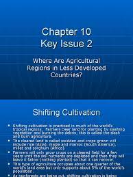 Playing with horses & working with pigs! Chapter 10 Key Issue 2 Rice Agriculture