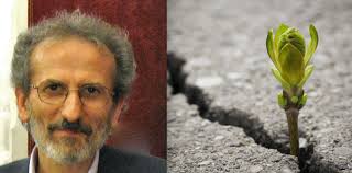 Valter Rosa, riflessione di fine 2021: "Consumo di suolo, via la testa  dalla sabbia"