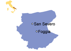 (if your goal is to claim your italian dual citizenship in san severo follow this link). San Severo In Foggia Apulien