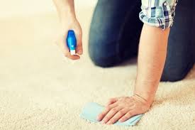 Here's the good news about getting blood out of carpet: How To Clean Blood Out Of A Carpet Appliance Guide