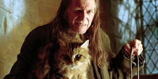 The week followed in suit of lydia's first day. Harry Potter 15 Things You Never Knew About Filch And Mrs Norris