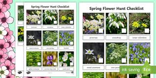 We did not find results for: Spring Flower Hunt Outdoor Spring Checklist Twinkl