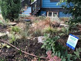 Your home roof is likely the largest impervious surface in your garden. These Rain Gardens Clean City Stormwater With Flowers And Trees Sunset Magazine