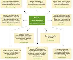 La contamination la plus fréquente se fait par voie cutanée, la. Maladies Des Pigeons Prevention Des Epidemies Et De La Transmission A L Homme Sciencedirect