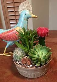 Taken at grigsby cactus nursery, vista, ca. Specialty Plants Nurseries Gardening 2840 Gist Rd San Marcos Ca Phone Number Yelp